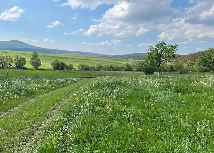 4 Sterne Rhoenland-erlebnis In - Auch Fuer Wanderreiter Apartman *