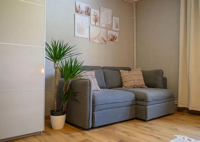 Apartman 4 Sterne Rhoenland-erlebnis In - Auch Fuer Wanderreiter